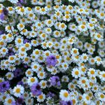 Polly Morin - @pmorin1238 - Instagram