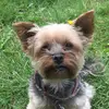 Polly Peterson931 - @pollypeterson931 - TikTok