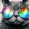 pollypeterson637 - @pollypeterson637 - TikTok
