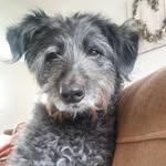 Olly Plunkett - @ollyplunkett - Instagram