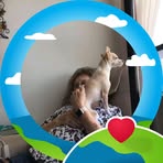 Polly Plunkett - Facebook