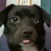 Molly Pollard - @molly.leila0319 - TikTok