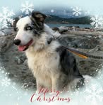 Polly Pratt - Facebook