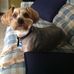 Polly Russell - Facebook