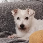 Polly 'Wopje' Russell - @pollewopje2309 - Instagram