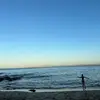 pollyshepherd11 - @pollyshepherd2 - TikTok