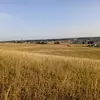 Polly.so - @polly.so - TikTok