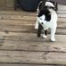 Polly Solomon - Facebook