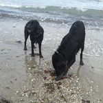 Hugo and polly - @hugo.and.polly.stokes - Instagram