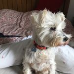 PollySummers - @paulinemsummers - Instagram