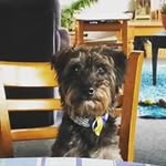 Pauline Sanford - @pollyweird1953 - Instagram