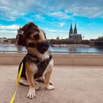 Polly - @weird.ear.polly - Instagram