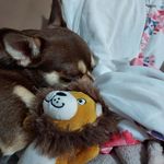 Polly/ Tracy Winter - @polly_winter01 - Instagram