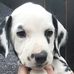 Polly Winter - Facebook