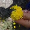 POLLYWINTER  - @pollywinter - TikTok