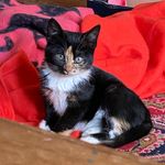 Winter Polly - @winter__polly - Instagram