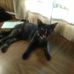 Polly Yoder - Facebook