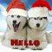 Polly Yoder - Facebook