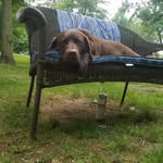 Polly Yoder - @yoderpolly - Instagram