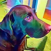 pollyyoder585 - @pollyyoder585 - TikTok
