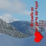Lobo Solitario - @polo.carrera.10 - Instagram