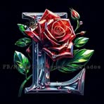 Polo Carrera - Facebook