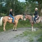 Polo Carrera - @polo_carrera_ - Instagram