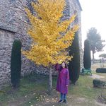 Pooja Kaul - @iampoojakoul - Instagram