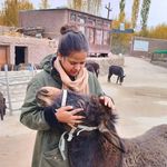 Pooja Kaul 🧿 - @kaul009 - Instagram