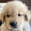 miller.powell - @miller.powell4 - TikTok