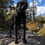 @powell.miller1 - Instagram