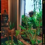 Asha Prabhat Agrawal - @_my.cozy.corner_ - Instagram