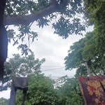 prachi sahoo - @prachisahoo651 - Instagram