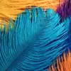 Pradeep Ananda - @pradeep.ananda - TikTok