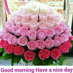 Pradeep Kumar Battula - @pradeepkumarbattula - Instagram