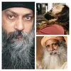 Pradeep Bhardwaj - @pradeep.bhardwaj1 - TikTok