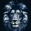 Pradeep_Bindra3 - @Pradeep_Bindra3 - TikTok
