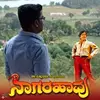 Pradeep M Rao - @pradeepmrao - TikTok