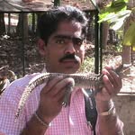 Prafulla Chandra Rout - @prafullachandrarout - Instagram