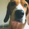 Pragati Pant - @pragatipant.v_bts - TikTok