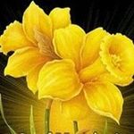 pramila mishra - @pramila_tripathi - Instagram