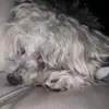 Pranav Arora - @pranavarora6748 - TikTok