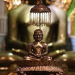 pranav doshi - @pranav_doshi764 - Instagram