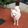 pranav - @pranavgopalakrishnan123 - TikTok