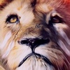 Pranav Verma - @_pranav_verma_ - TikTok