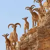 Prasad Rao - @prasadrao264 - TikTok