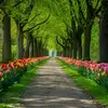 Prashant Soni - @prashant.soni4 - TikTok