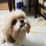 Prashanth Prabhu - @_prashanth___ - Instagram