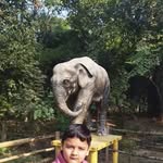 Pratap Jain - @pratapjain1980 - Instagram