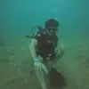Prateek Arora - @prateek.arora20 - TikTok